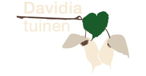 Davidia tuinen